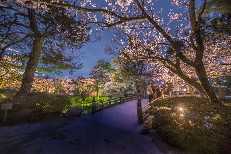 Light up Kenrokuen Garden in every season and you will want to go back again and again!