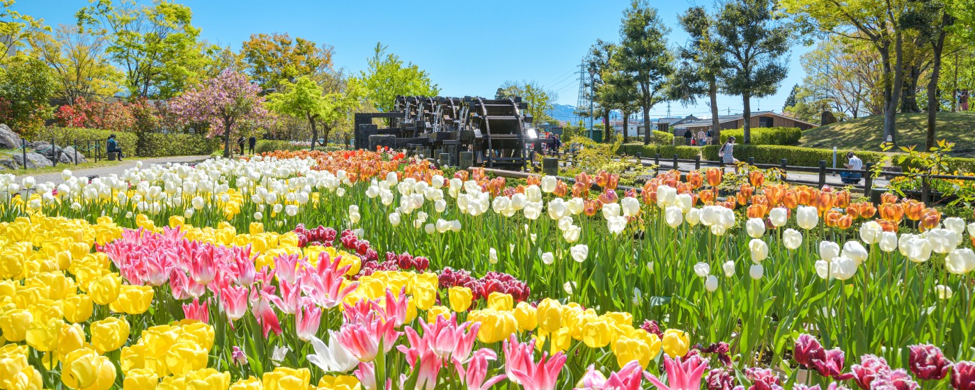 Golden Week 2026: Festivals and Events in Kanazawa & the Hokuriku Region