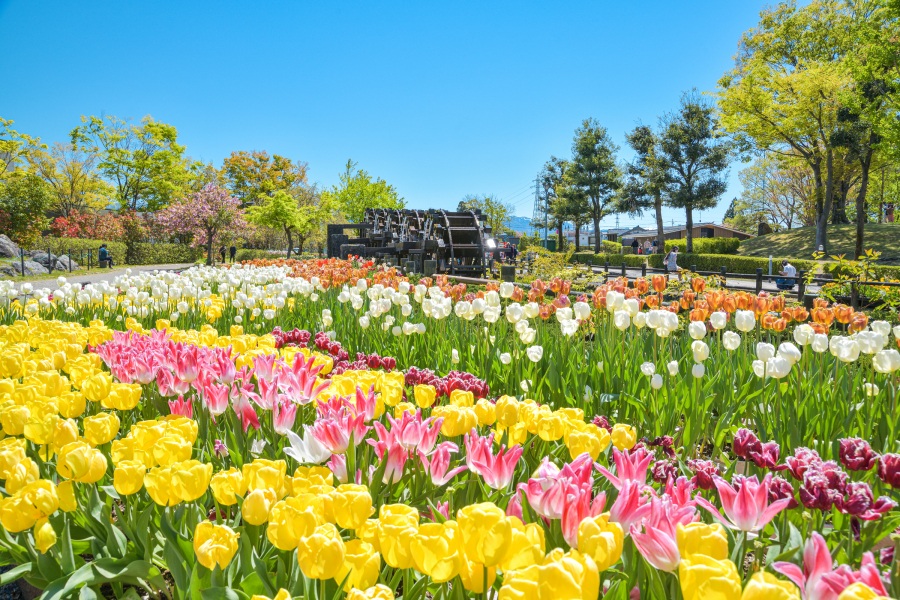 Golden Week 2026: Festivals and Events in Kanazawa & the Hokuriku Region