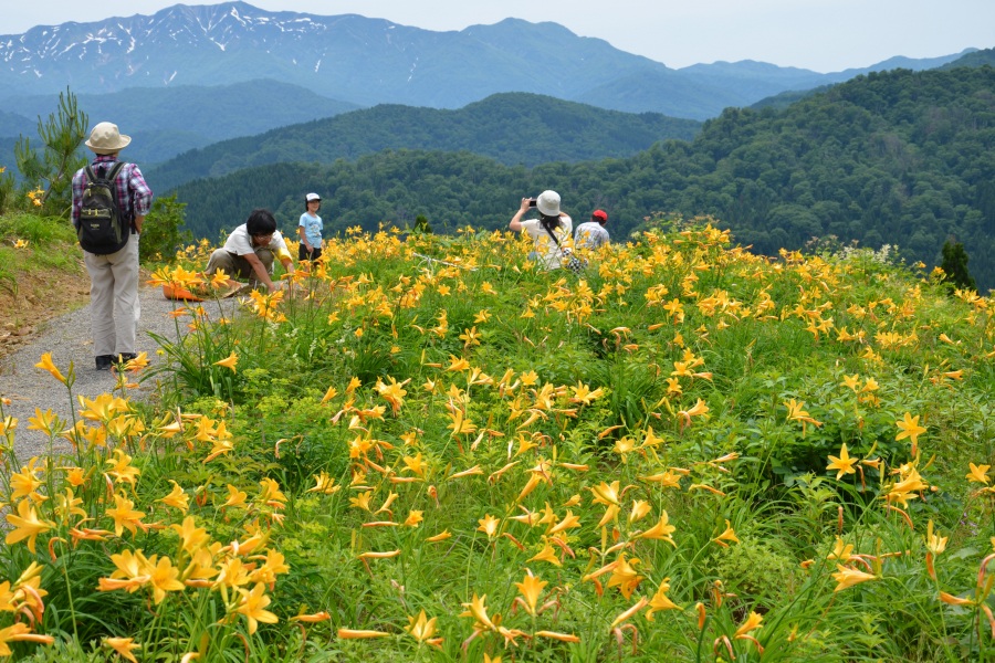 Recommended bus tours from/to Kanazawa in early summer