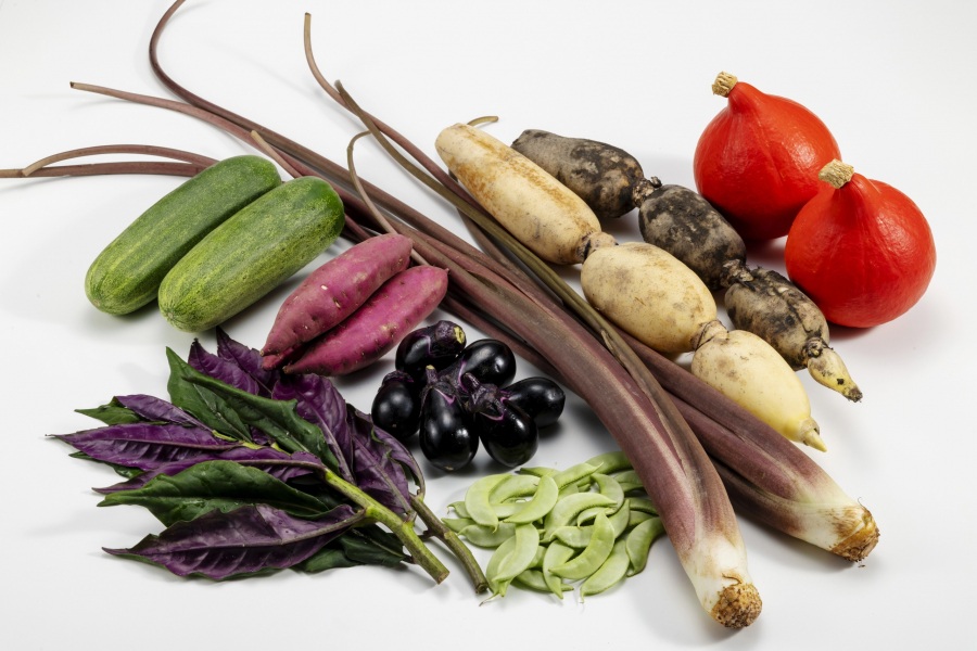 The Charm of “Kaga Vegetables” – The Colors of Kanazawa’s Food Culture