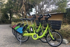 Explore the sights with ease using bike-sharing
