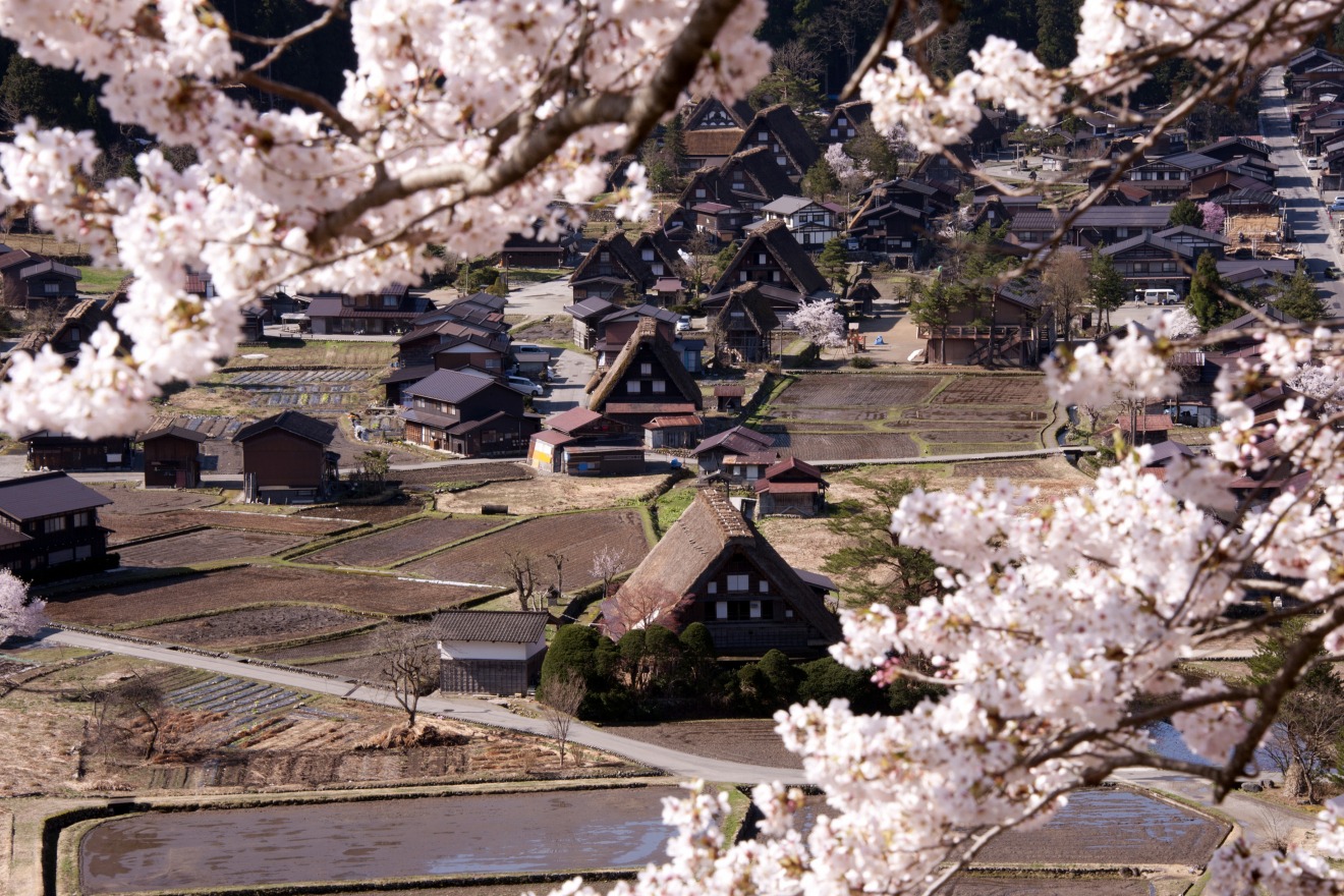 Shirakawa-go in Cherry Blossom Season