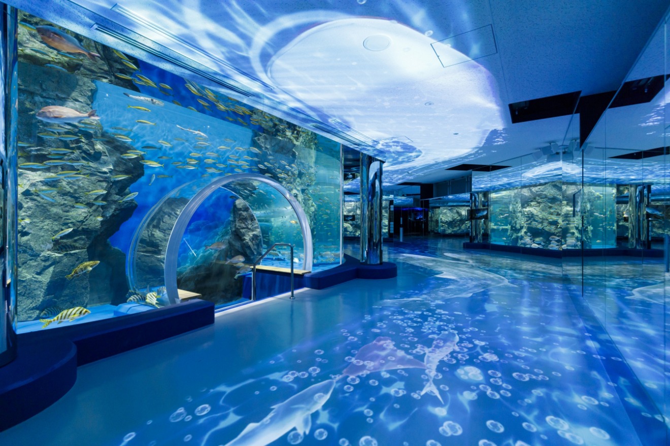 Noto Marine Corridor (Photo courtesy of Notojima Aquarium)