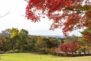 I colori autunnali del monte Utatsuyama e del parco Oku-Utatsuyama