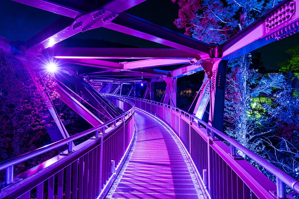 Ayatori Bridge lit up at night, Kakusenkei Gorge, Kaga City