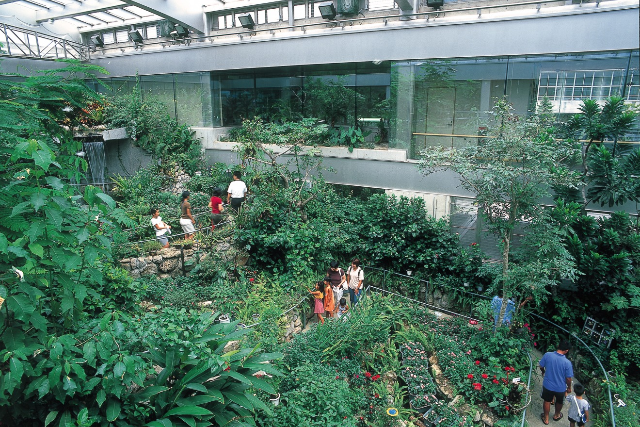 At Ishikawa Insect Museum, encounter butterflies fluttering all year round