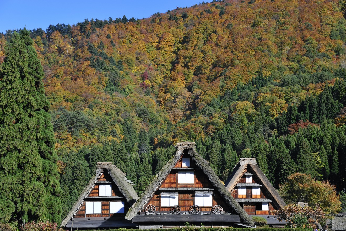 Shirakawa-go in autumn – gassho-zukuri (steep thatched roof) houses