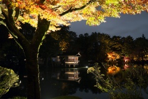 Iluminación del castillo de Kanazawa y del jardín Kenrokuen en otoño