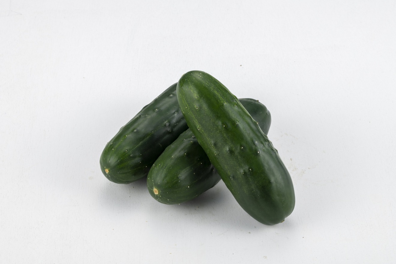Kaga Futokyuri (Big Cucumbers)