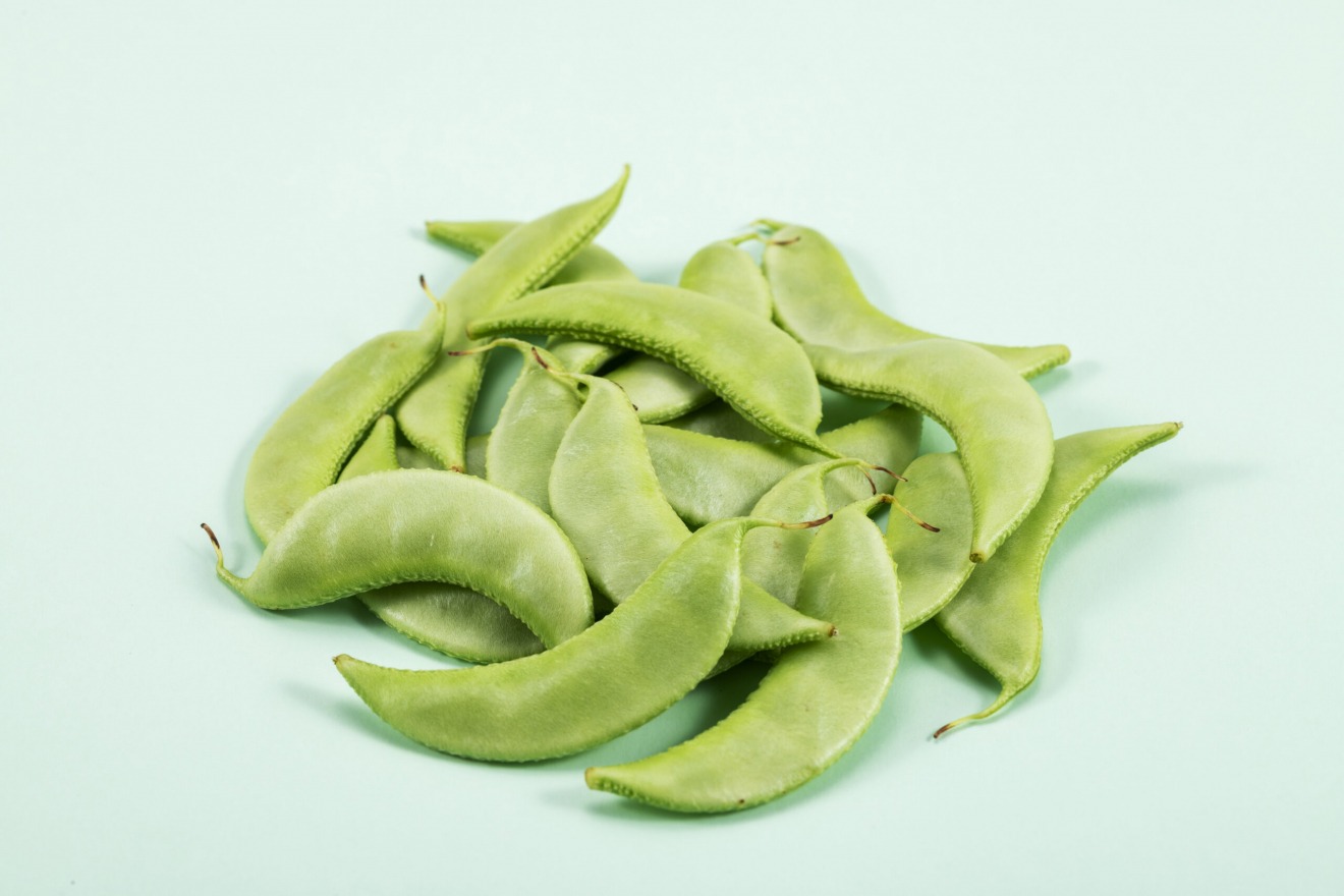 Kaga Tsurumame (Wild Soybeans)