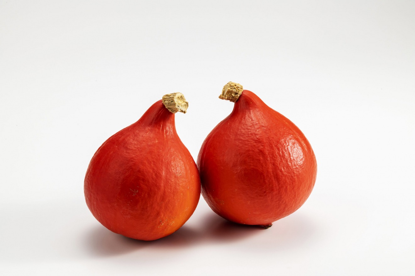 Utsugi Akagawa Amaguri Kabocha (Utsugi Red-skinned Sweet Chestnut Pumpkins)