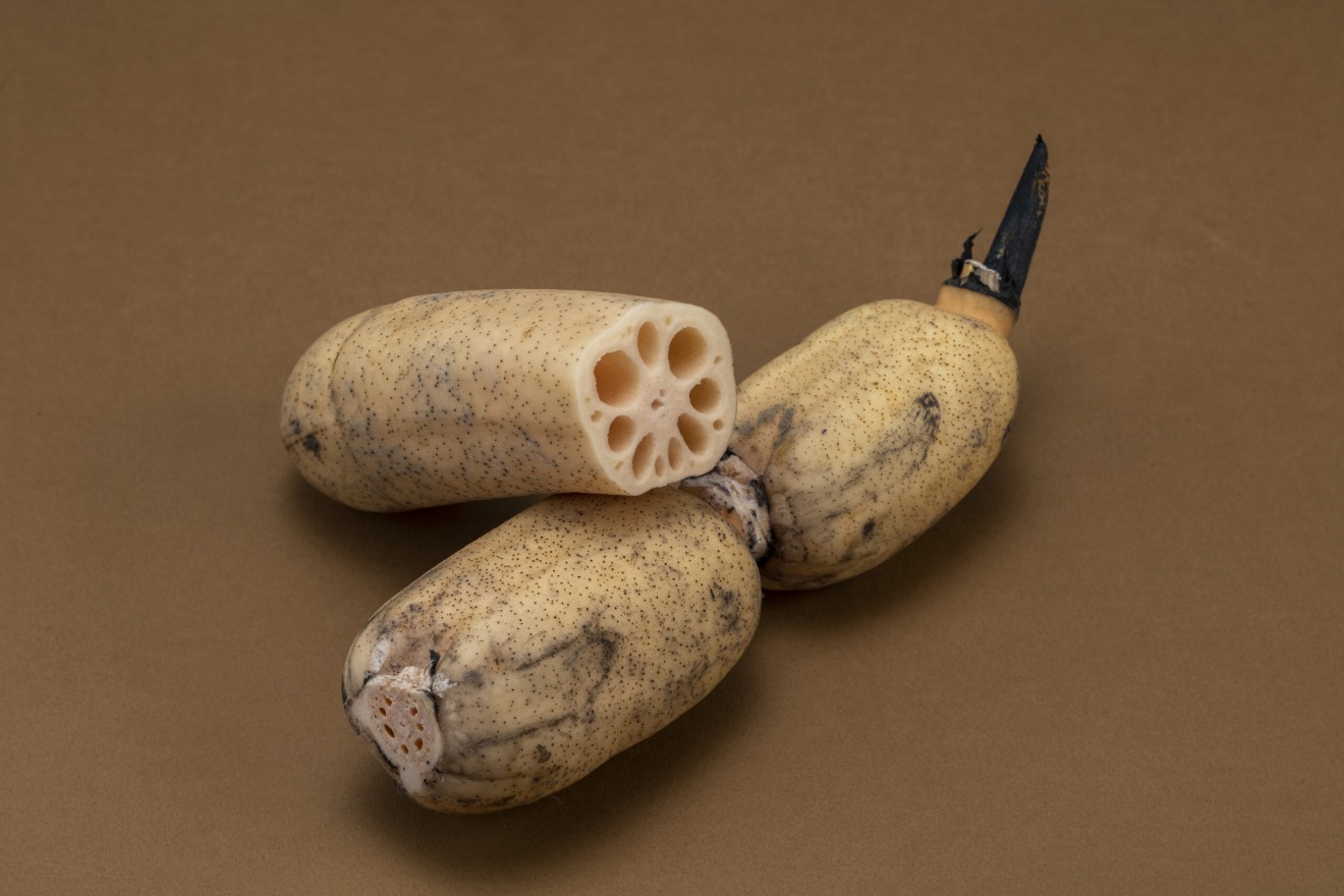 Kaga Renkon (Lotus Roots)