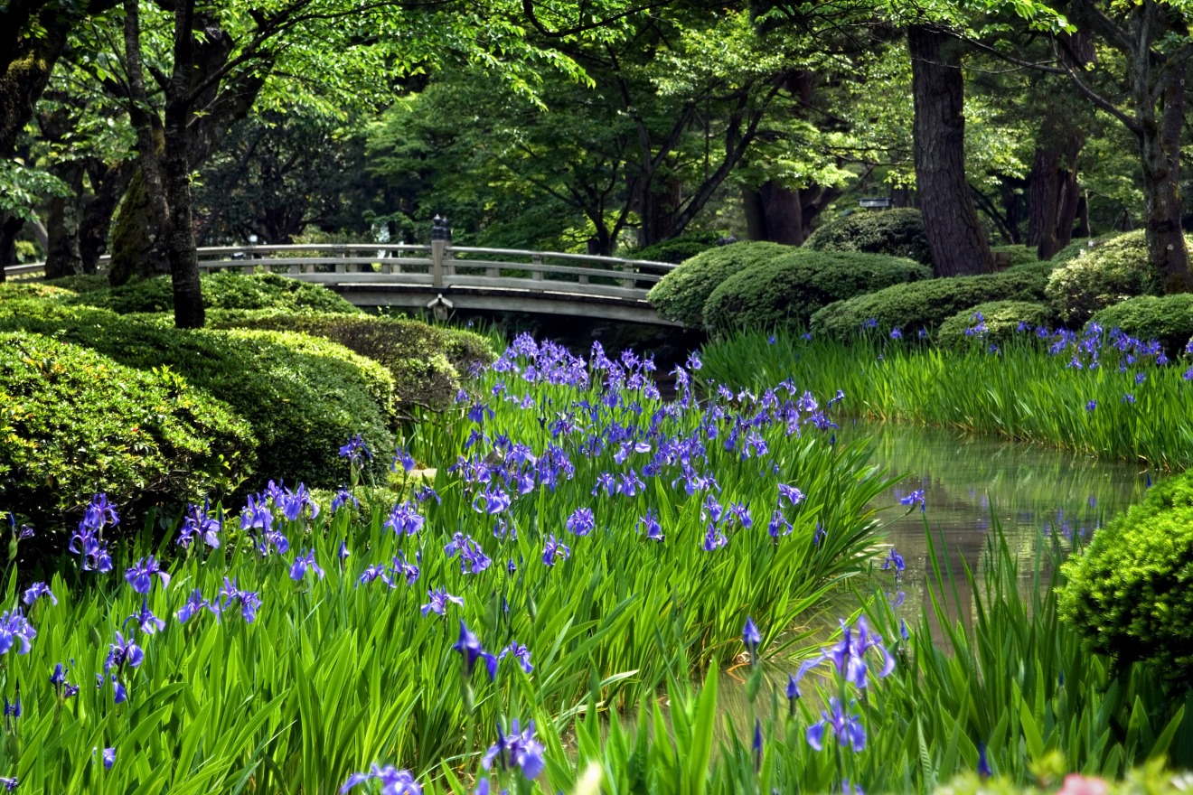 Kenrokuen (early summer)