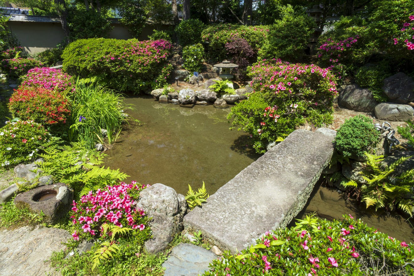 Senda-ke Garden (Jun)