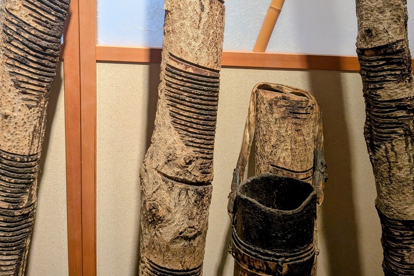 A lacquer tree that has been tapped for sap, and a bucket used to collect the harvested lacquer.