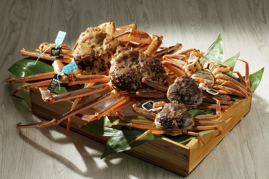 Kano-gani and kobako-gani (snow crab and female snow crab), top brand crabs of Ishikawa Prefecture