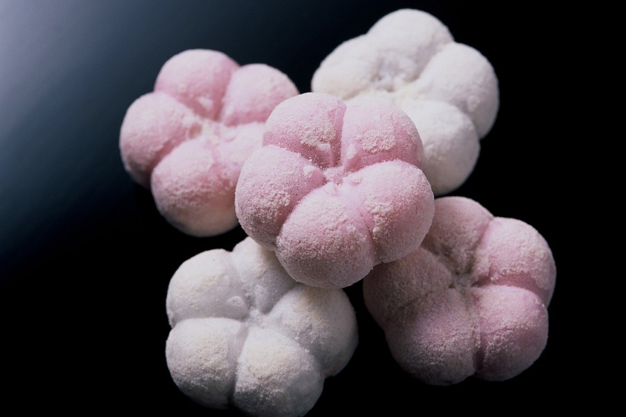 Fukuume: Kanazawa’s traditional New Year sweet