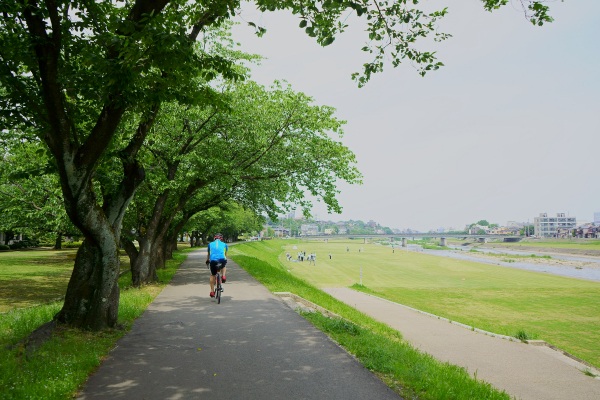 Saigawa Cycling Road