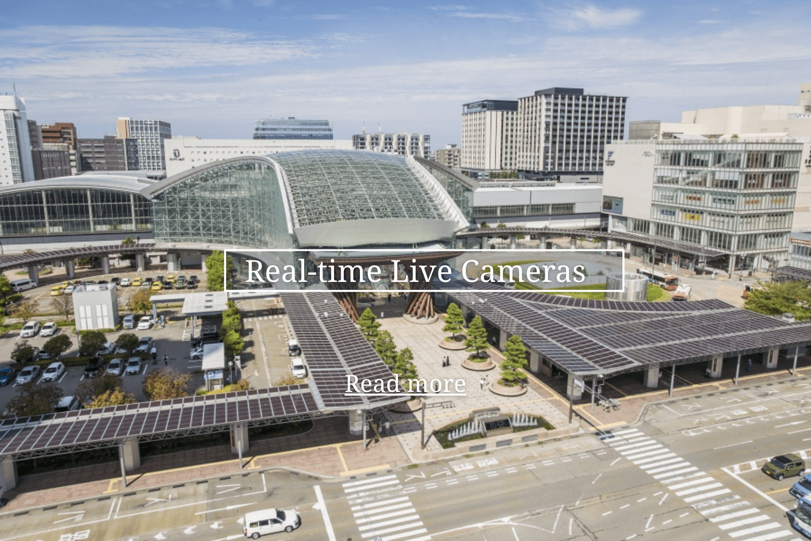 Real-time Live Cameras