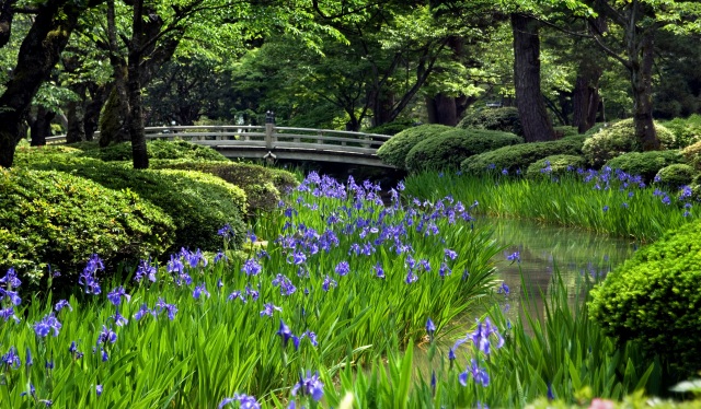 Kenrokuen Garden