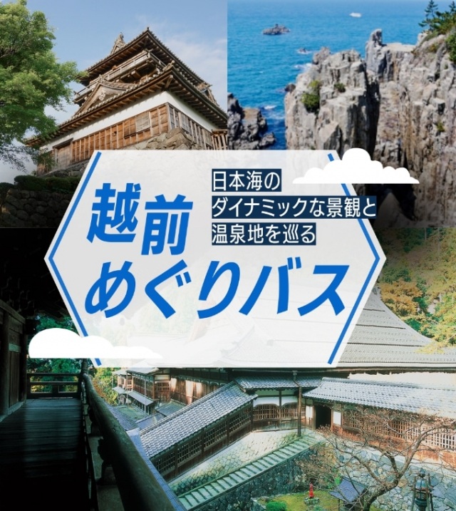 【One day bus tour】Kanazawa Sta.～Tojinbo/Eiheiji/Maruoka-Castle【Echizen Bus Tour】
