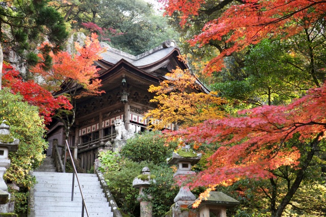 紅葉の那谷寺・安宅の関と老舗料亭で極上海鮮会席料理！日帰りツアー／昼食付・添乗員同行