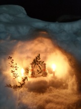 Shirakawa-go Light-up