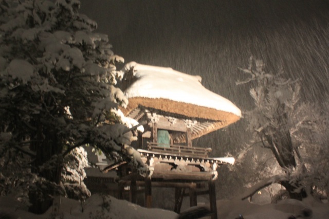 Shirakawa-go Light-up