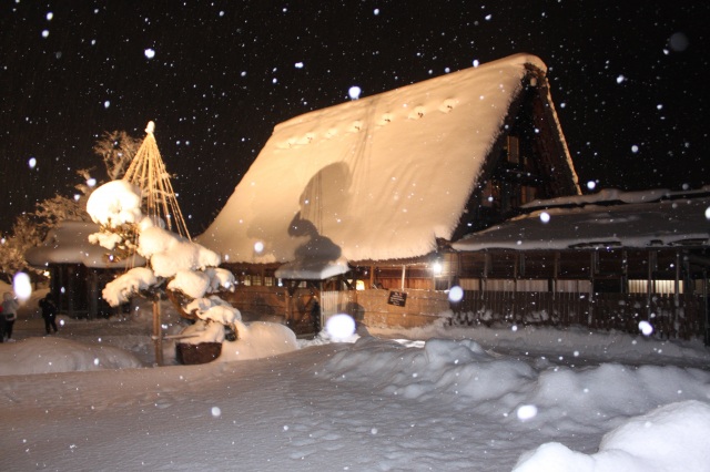 Shirakawa-go Light-up
