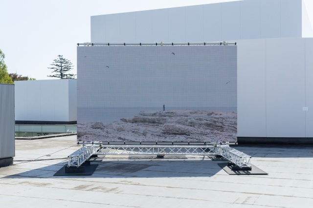SIDE CORE, new land, 2024  © SIDE CORE Installation view: SIDE CORE: Living road, Living space, 21st Century Museum of Contemporary Art, Kanazawa, 2025 photo: Kohei Omachi(W)