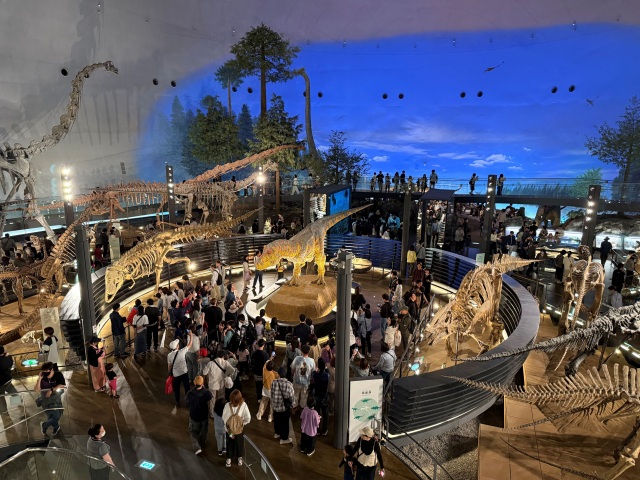 51 full-body dinosaur skeleton fossils on display