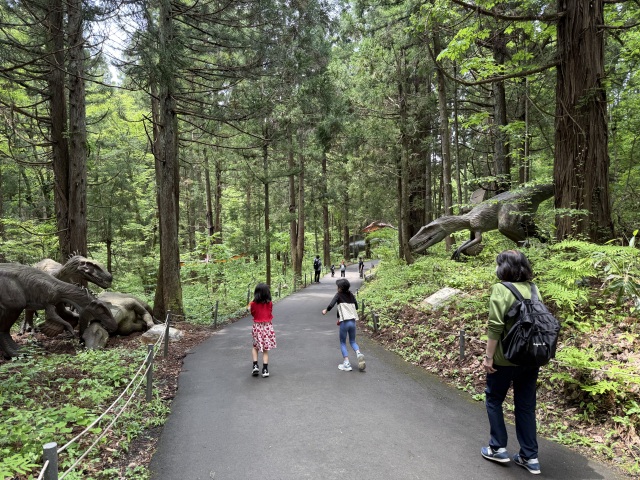 ※Optional Activity: A vast “Dinosaur Forest” located within the museum grounds. Advance reservation is required. Additional fees apply and are not included in the tour price.