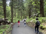 ※Optional Activity: A vast “Dinosaur Forest” located within the museum grounds. Advance reservation is required. Additional fees apply and are not included in the tour price.