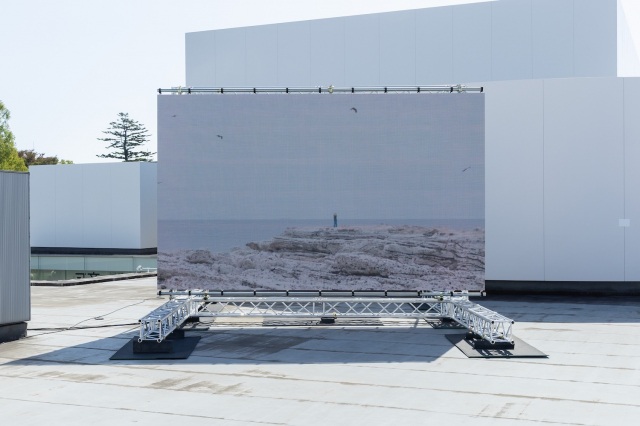 SIDE CORE, new land, 2024  © SIDE CORE Installation view: SIDE CORE: Living road, Living space, 21st Century Museum of Contemporary Art, Kanazawa, 2025 photo: Kohei Omachi(W) Courtesy: 21st Century Museum of Contemporary Art, Kanazawa