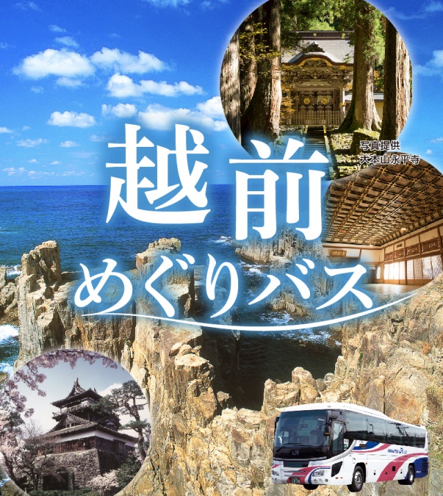 [ Undefined: spot-name ]