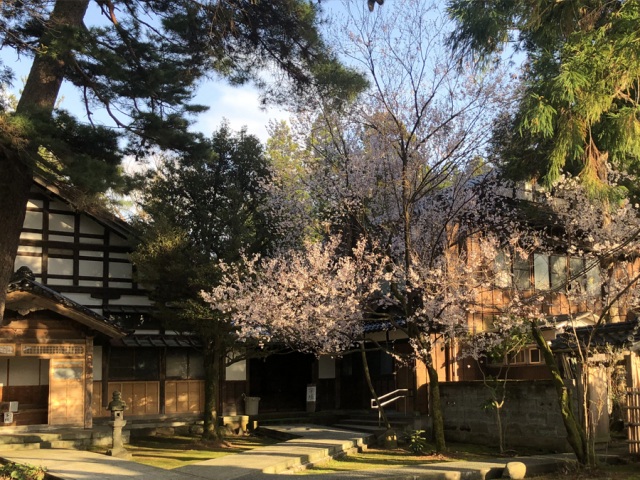 Spring at Ryuen-ji Temple