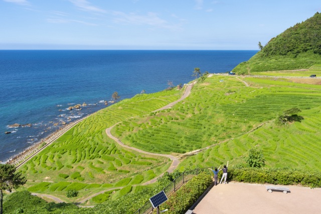 [ Undefined: spot-name ]