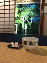 A Serene View from the Tea Room