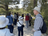 In the shadow area of big trees in Kenrokuen Garden