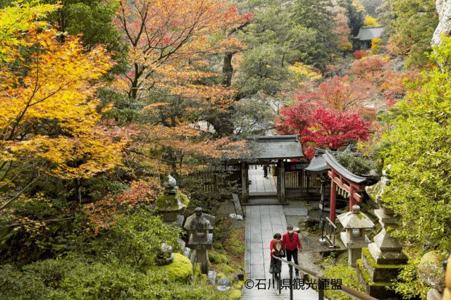 [ Undefined: spot-name ]