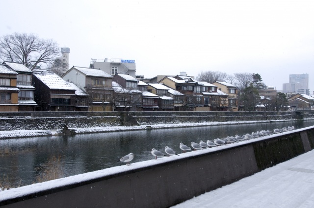 La rivière Asanogawa