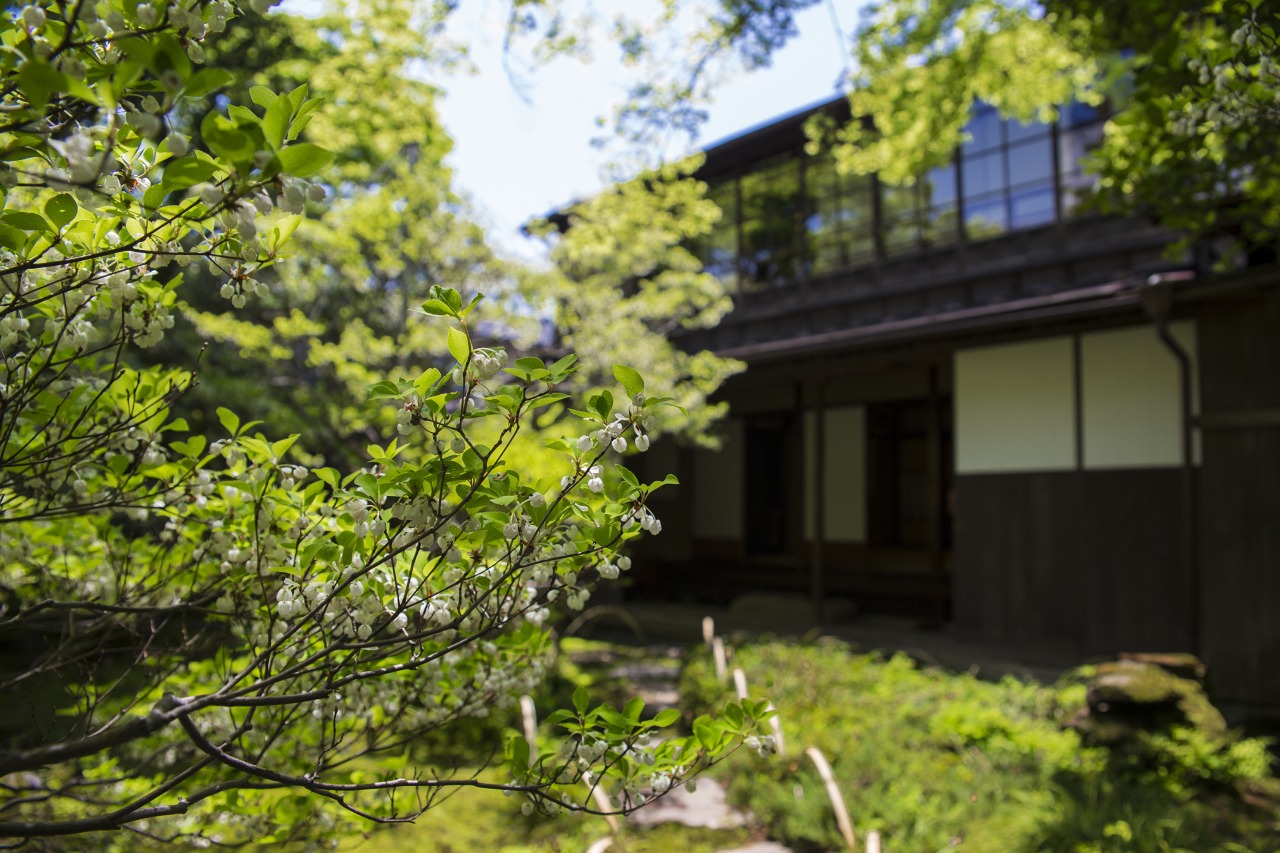 Les vestiges de la résidence de Kurando Terashima