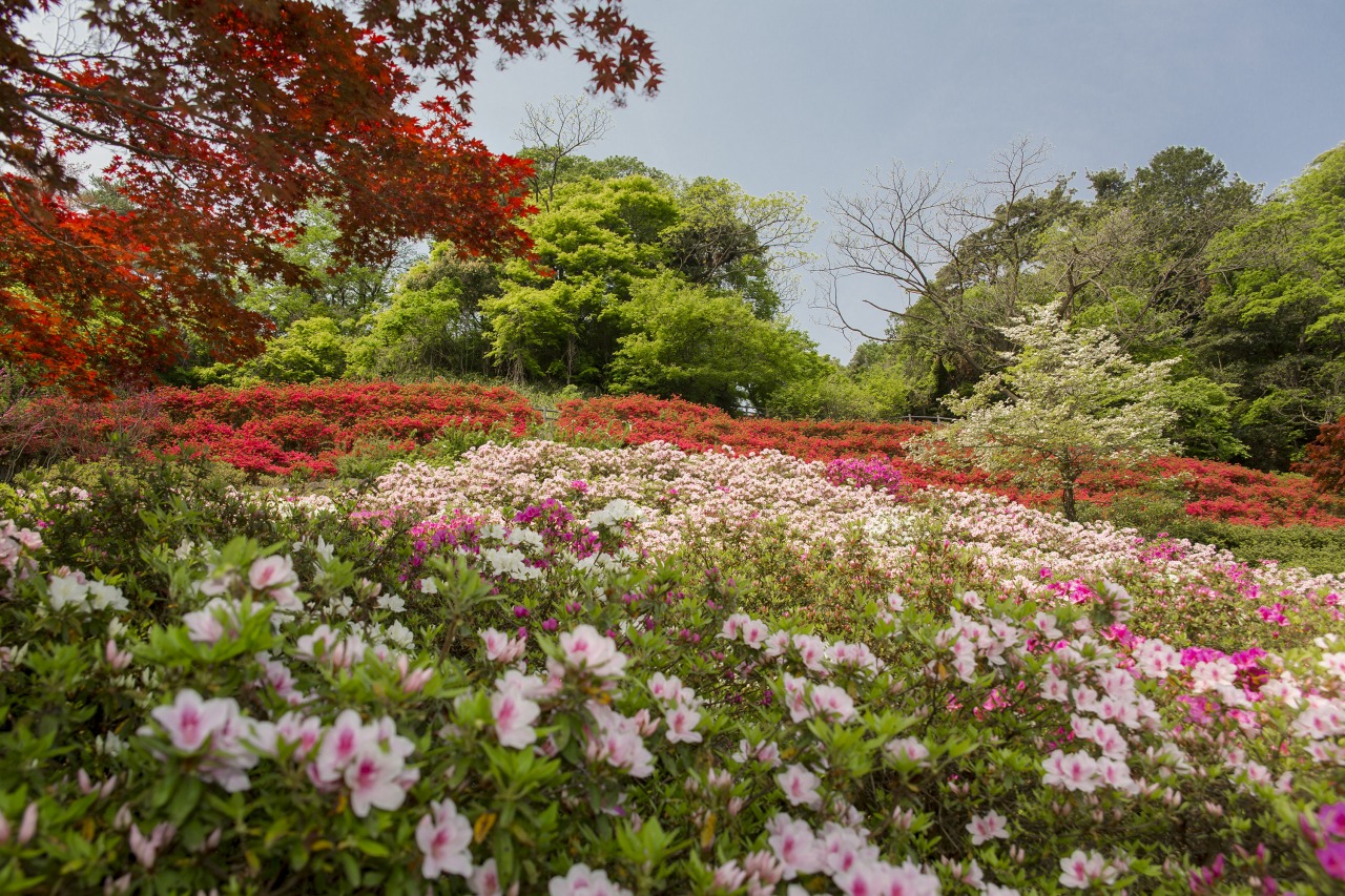 สวน Utatsuyama