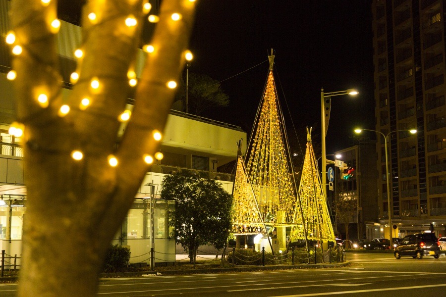 金箔雪吊「金箔KIRARA」與藝術街道樹燈夢幻裝飾