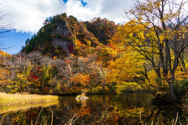 醫王山縣立自然公園