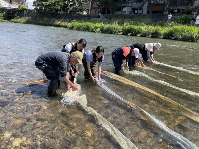 Yuzen-Nagashi